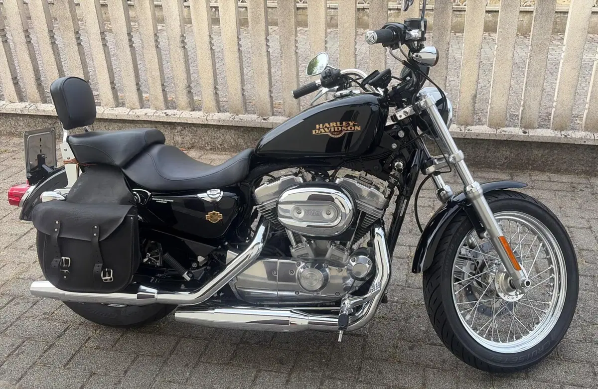 Harley-Davidson 883 Low (2008 - 12) - XL 883L