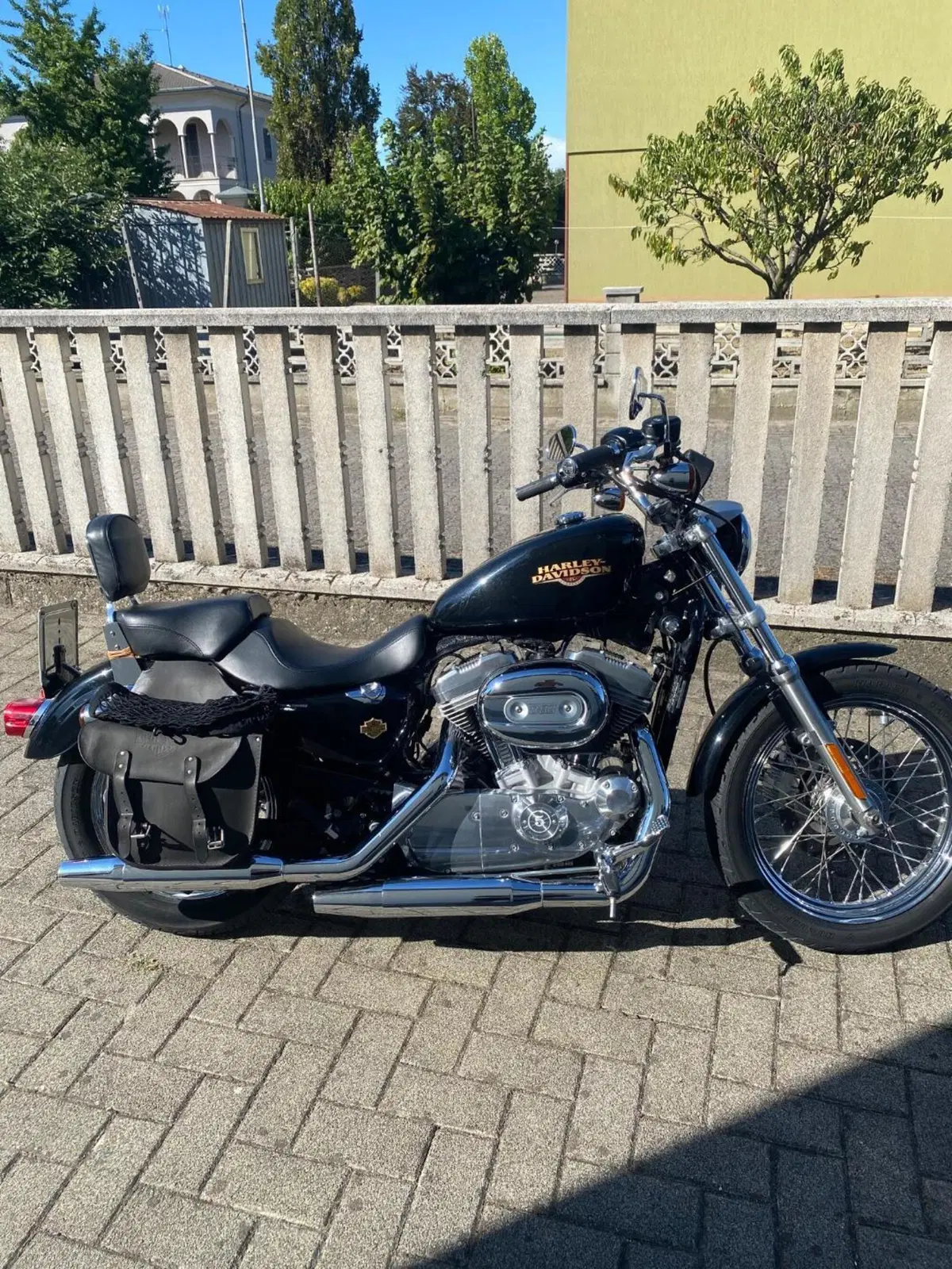 Harley-Davidson 883 Low (2008 - 12) - XL 883L (4)