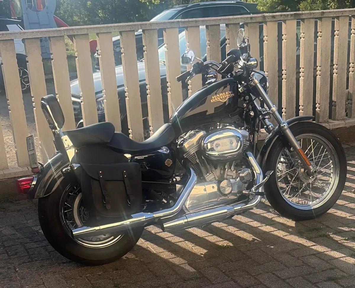 Harley-Davidson 883 Low (2008 - 12) - XL 883L (3)