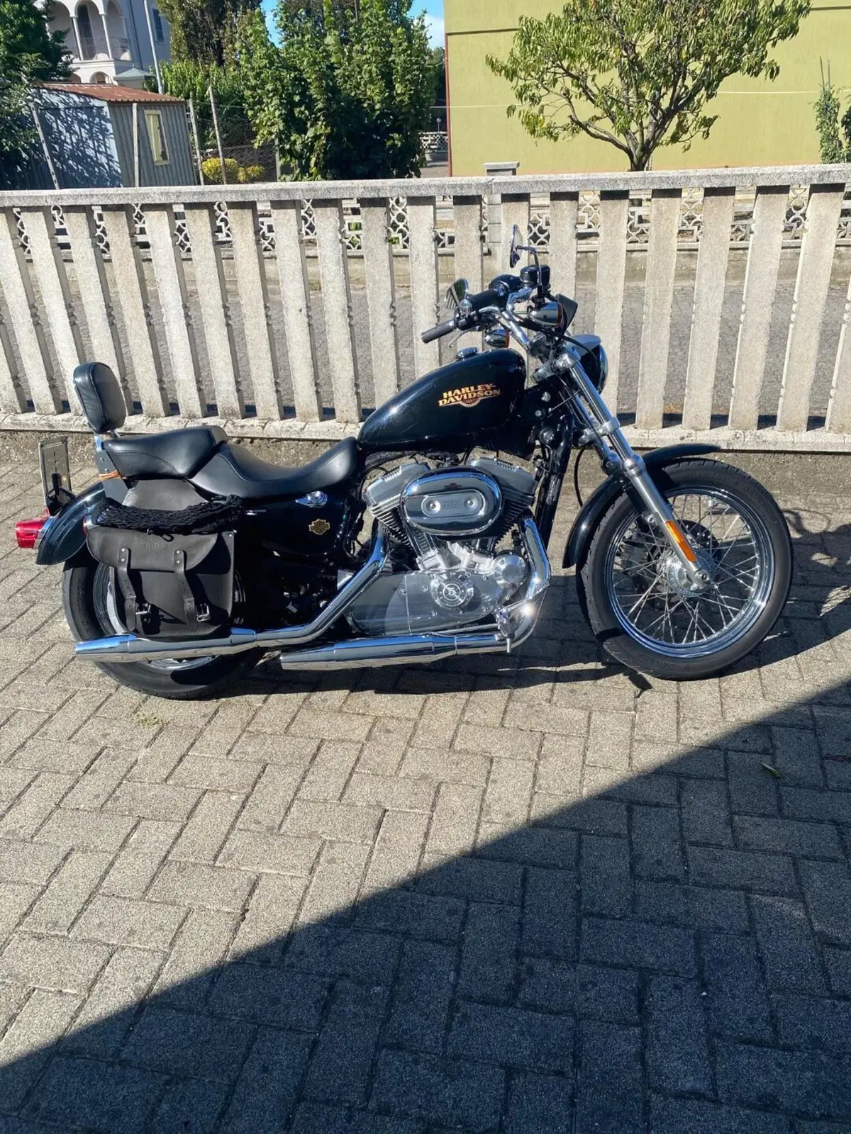 Harley-Davidson 883 Low (2008 - 12) - XL 883L (2)