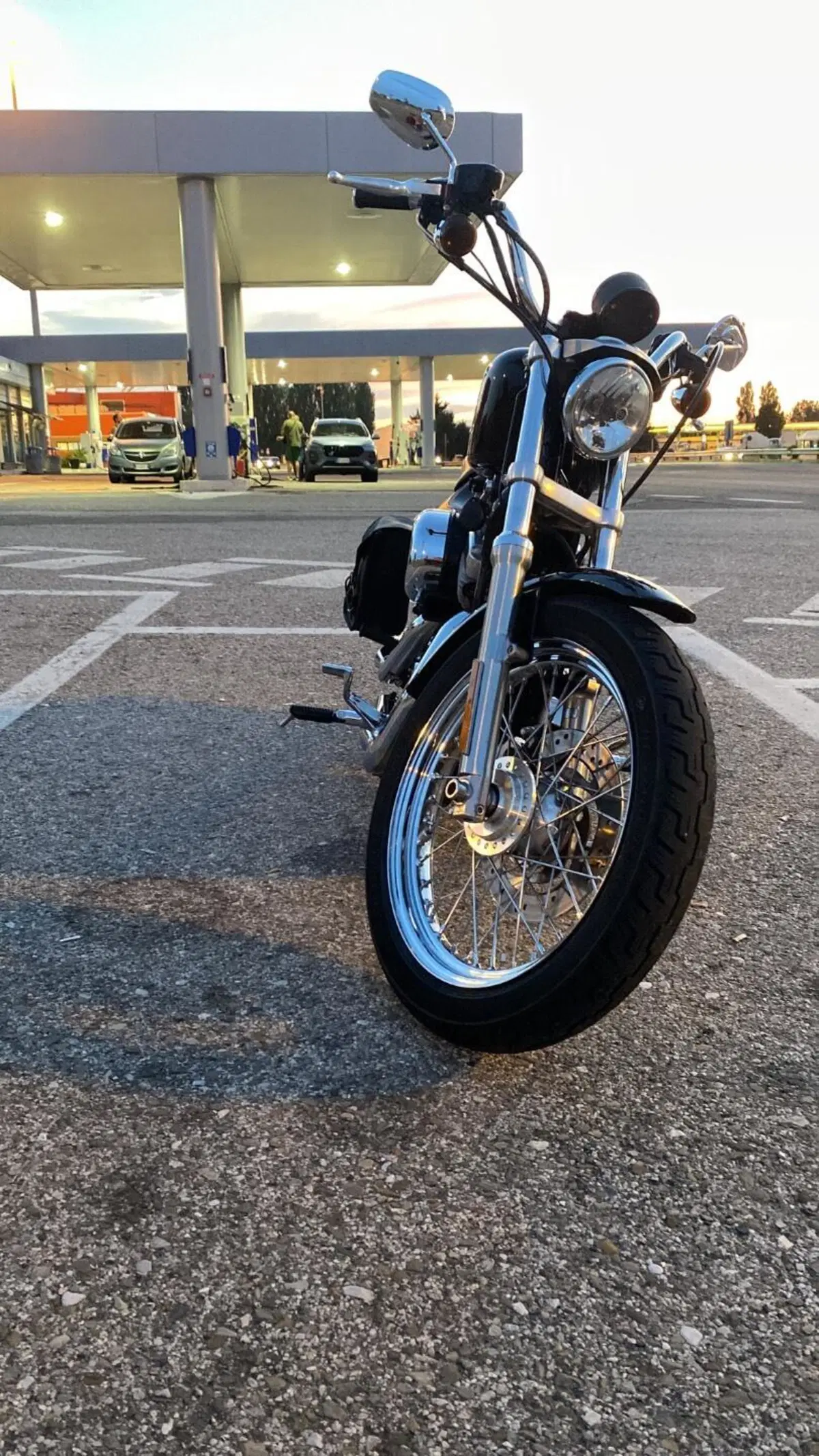 Harley-Davidson 883 Low (2008 - 12) - XL 883L (5)