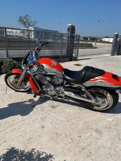 Harley-Davidson 1250 Street Rod (2005 - 06) - VRSCR usata