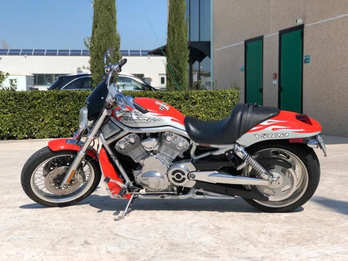 Harley-Davidson 1250 Street Rod (2005 - 06) - VRSCR (2)