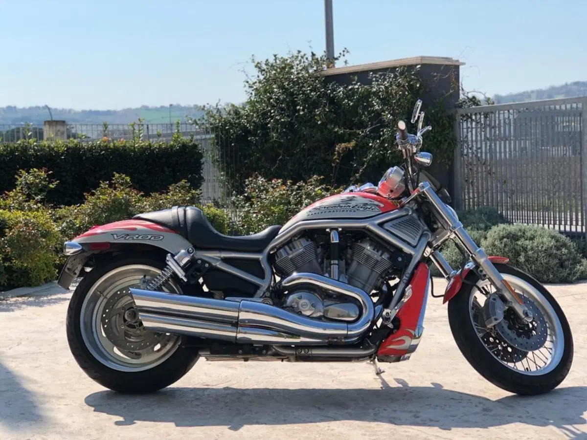 Harley-Davidson 1250 Street Rod (2005 - 06) - VRSCR (3)