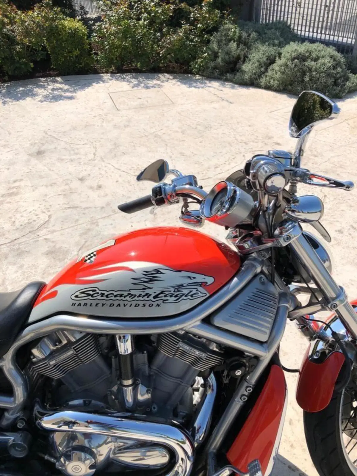 Harley-Davidson 1250 Street Rod (2005 - 06) - VRSCR (5)