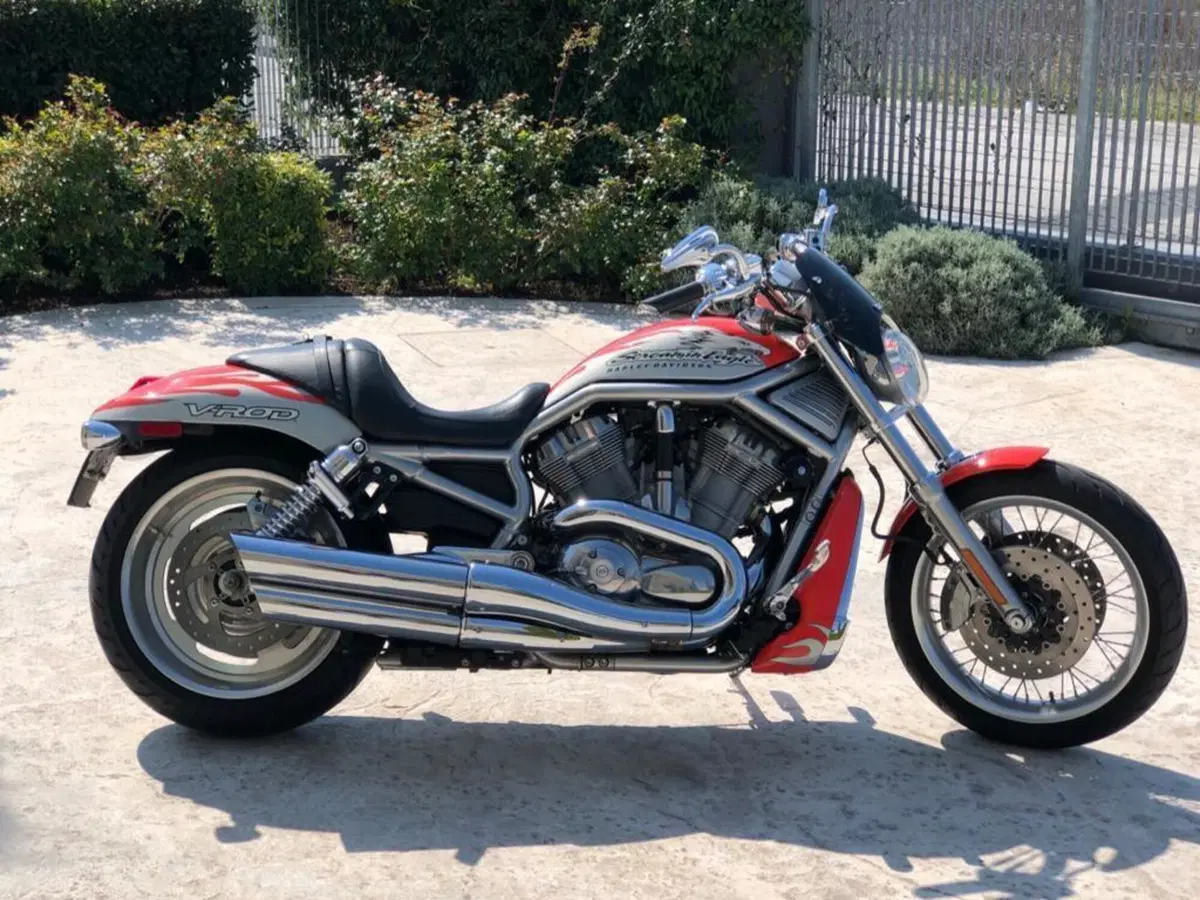 Harley-Davidson 1250 Street Rod (2005 - 06) - VRSCR (6)