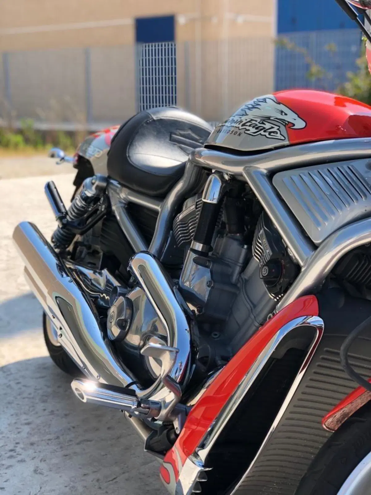 Harley-Davidson 1250 Street Rod (2005 - 06) - VRSCR (10)