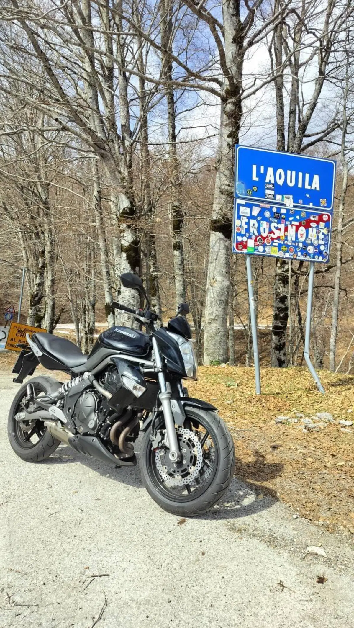 Kawasaki ER-6N (2009 - 11) (6)