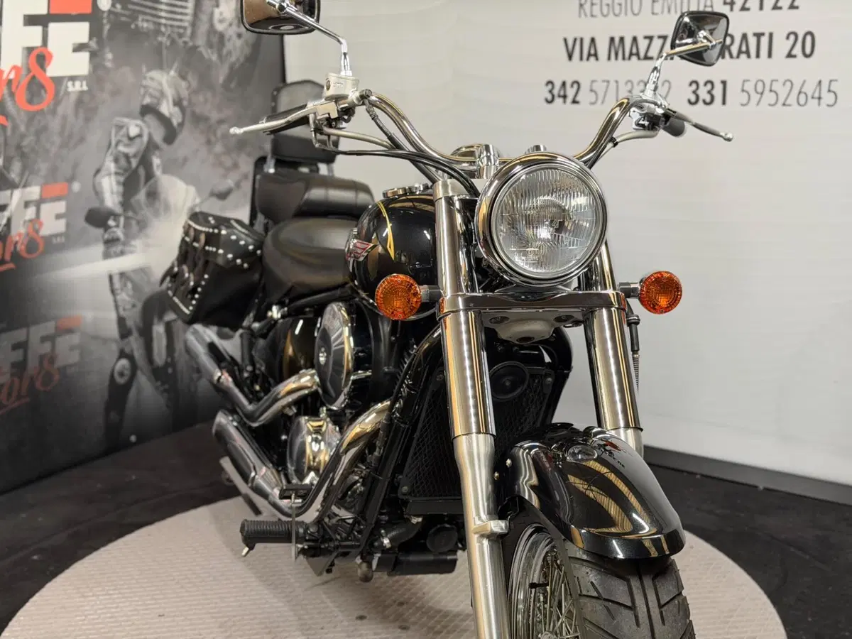 Kawasaki VN 800 Classic (2001 - 06) (6)