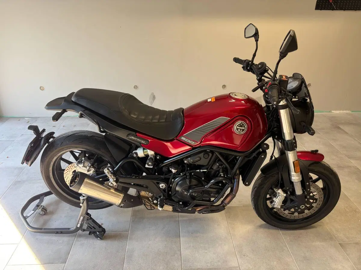 Benelli Leoncino 500 (2021 - 25)