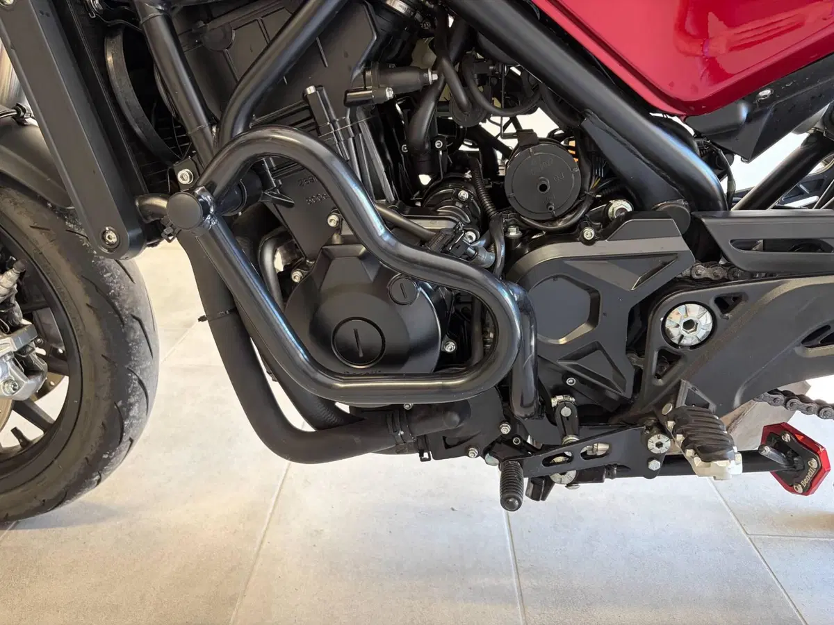 Benelli Leoncino 500 (2021 - 25) (3)