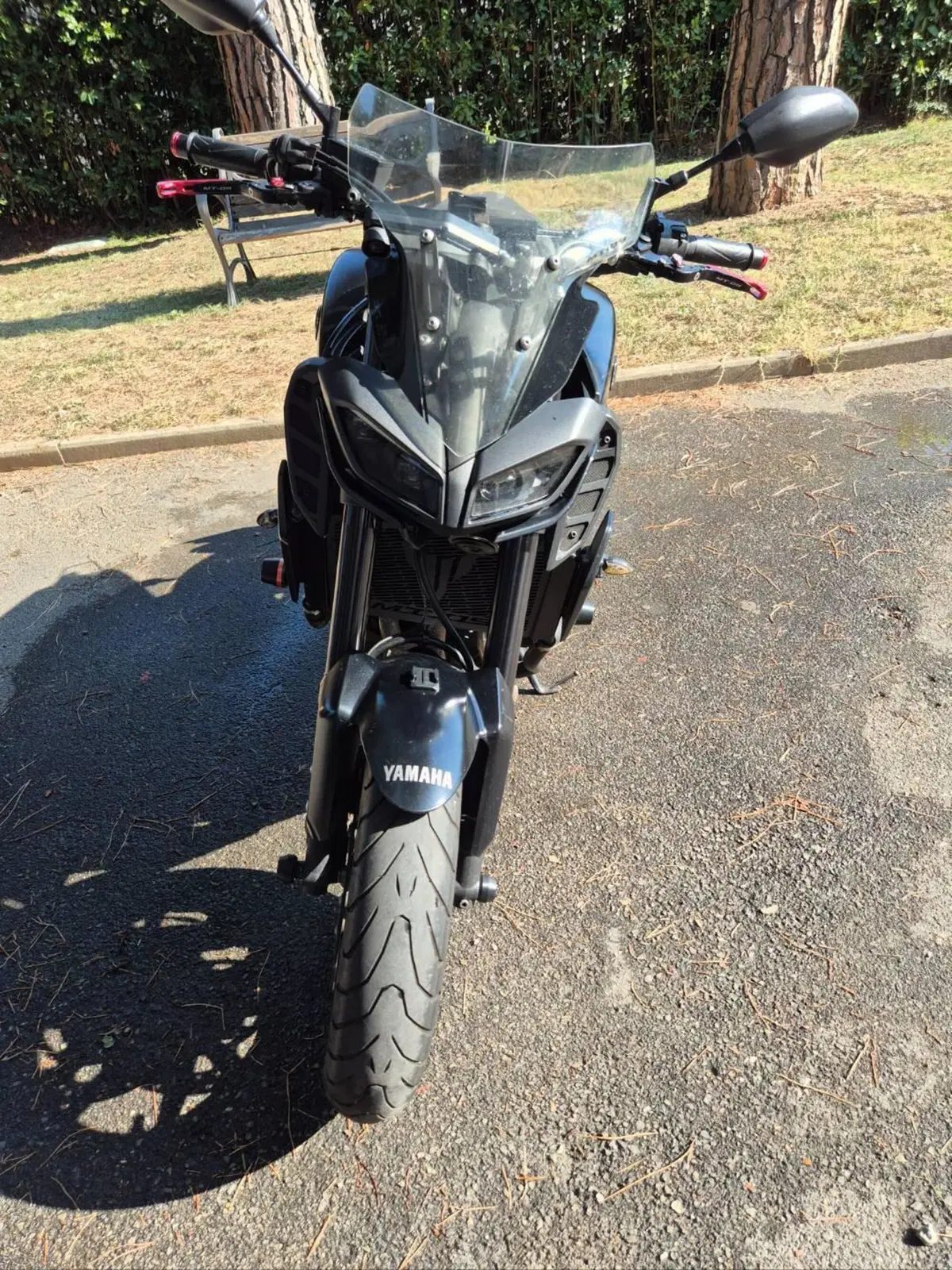 Yamaha MT-09 (2017 - 20) (3)