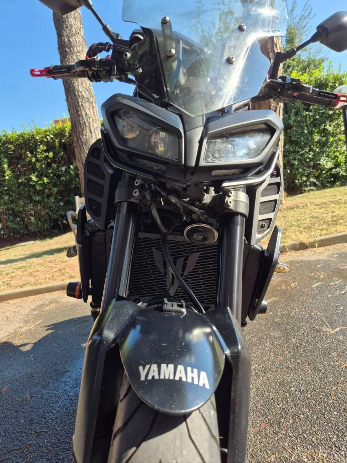Yamaha MT-09 (2017 - 20) (14)