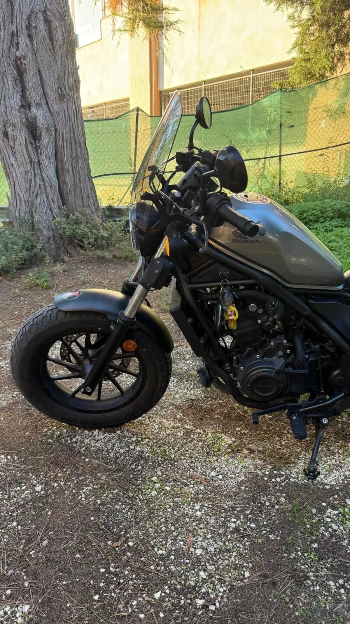 Honda CMX 500 Rebel (2022 - 24) (7)