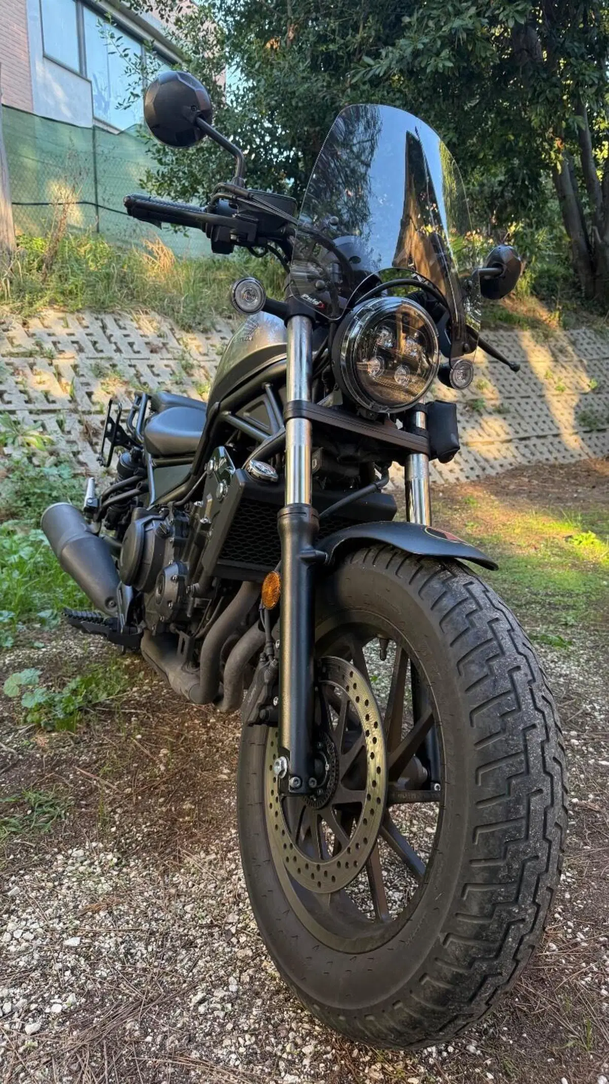 Honda CMX 500 Rebel (2022 - 24) (10)