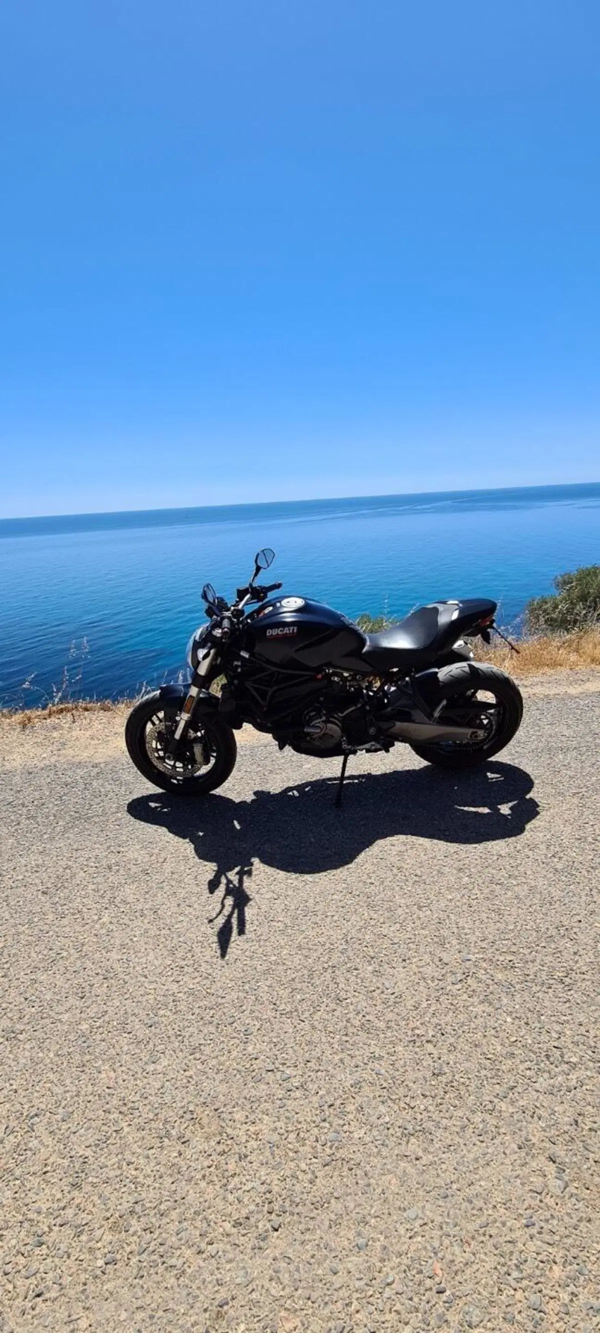 Ducati Monster 821 (2018 - 20) (4)