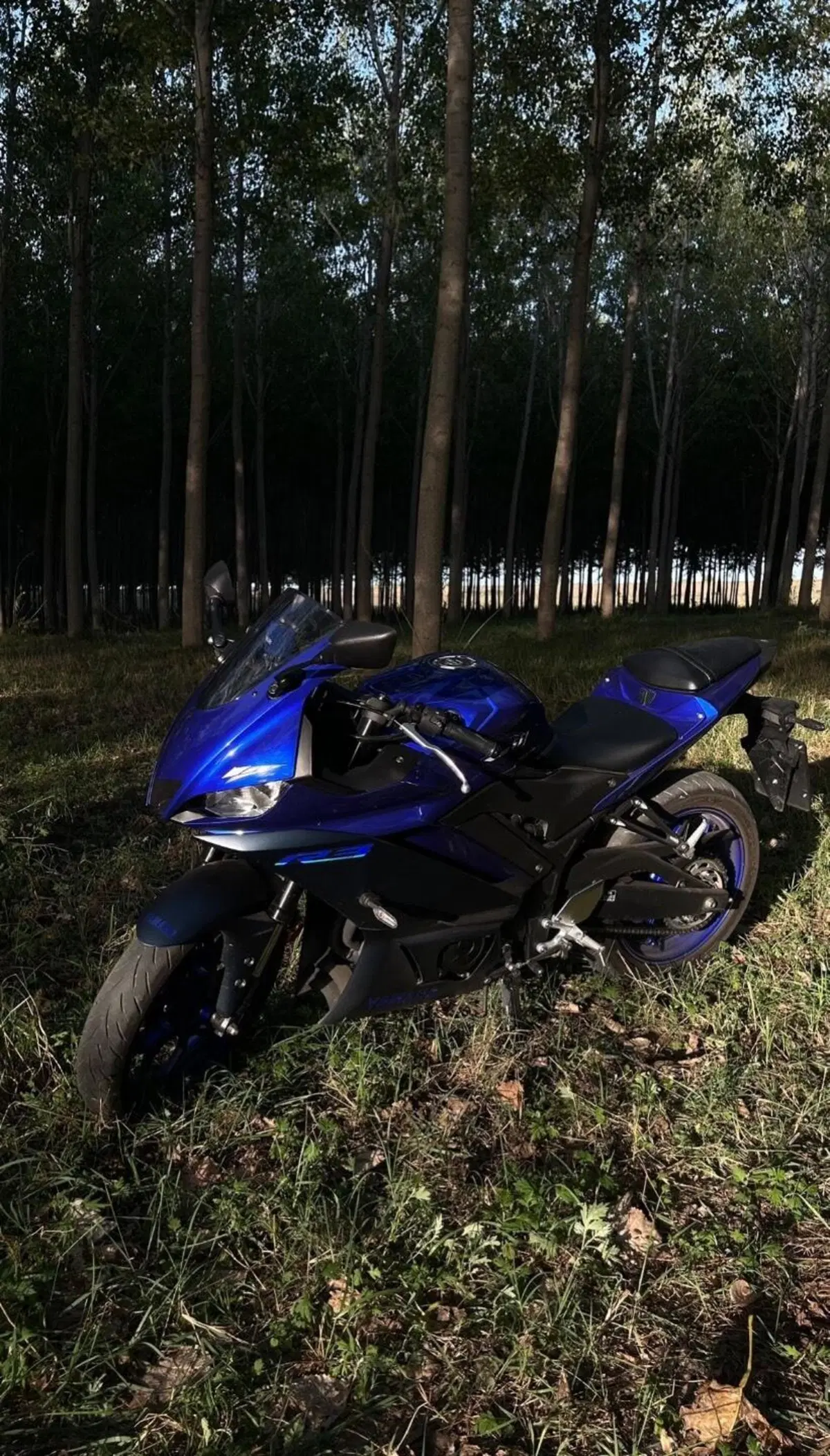 Yamaha YZF R3 (2021 - 24) (4)