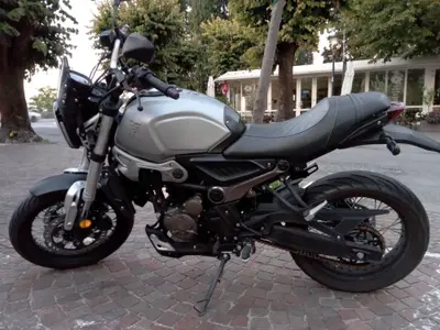 Voge Trofeo 300ACX Scrambler (2021 - 26) usata
