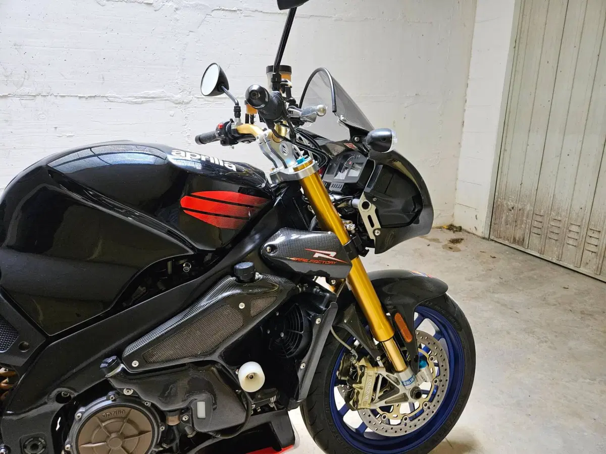 Aprilia Tuono 1000 (2003 - 04) (5)