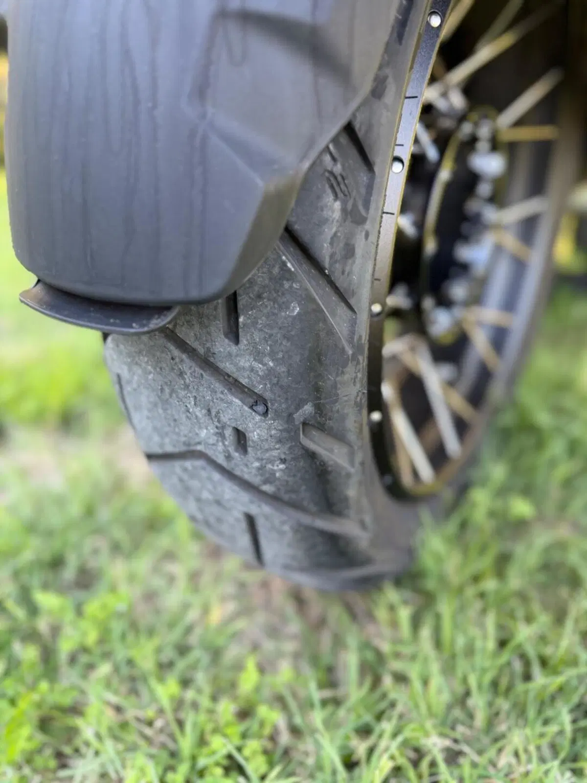 Bmw R 1300 GS Adventure ASA (2025 - 26) (8)