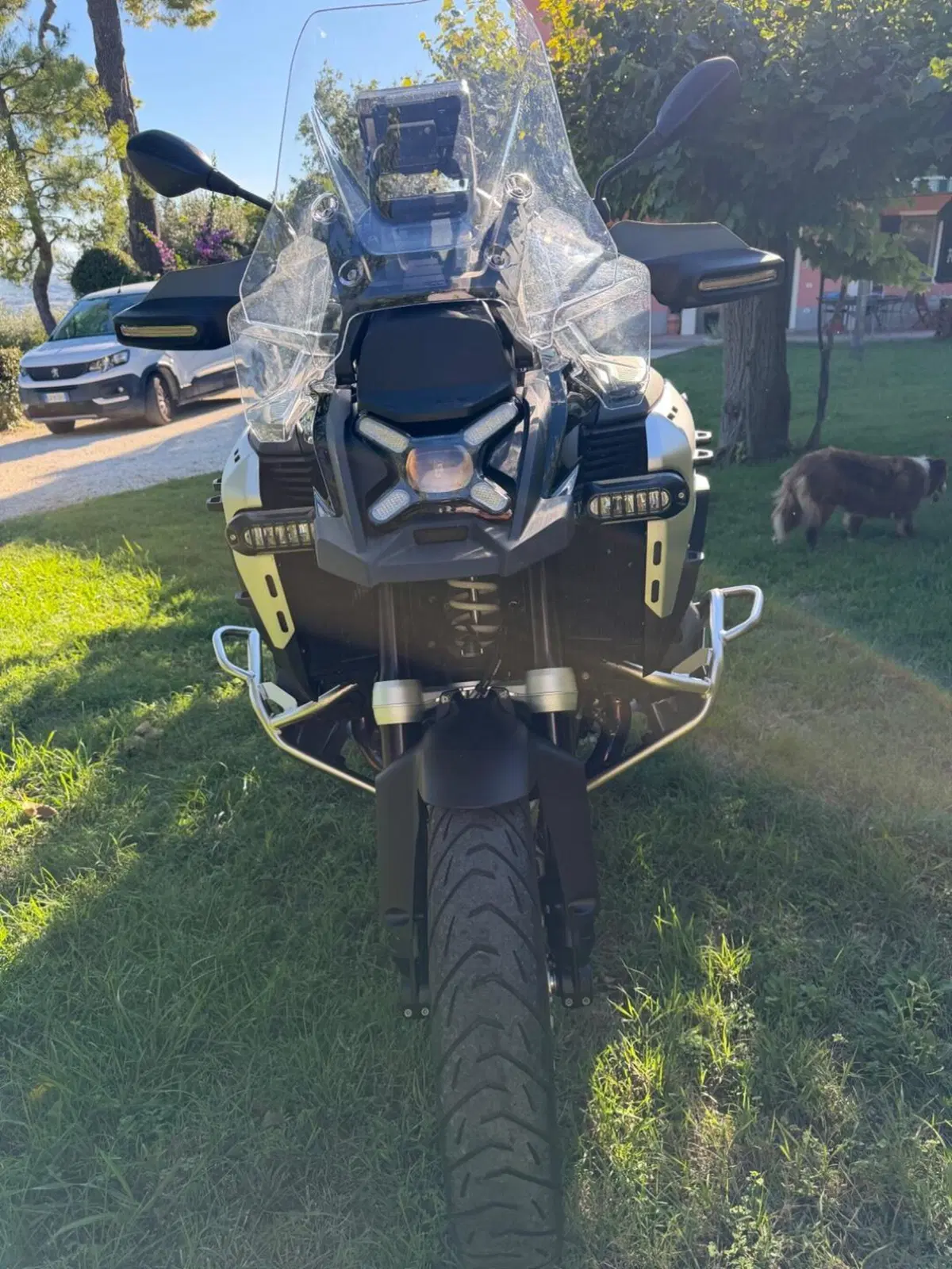 Bmw R 1300 GS Adventure ASA (2025 - 26) (9)