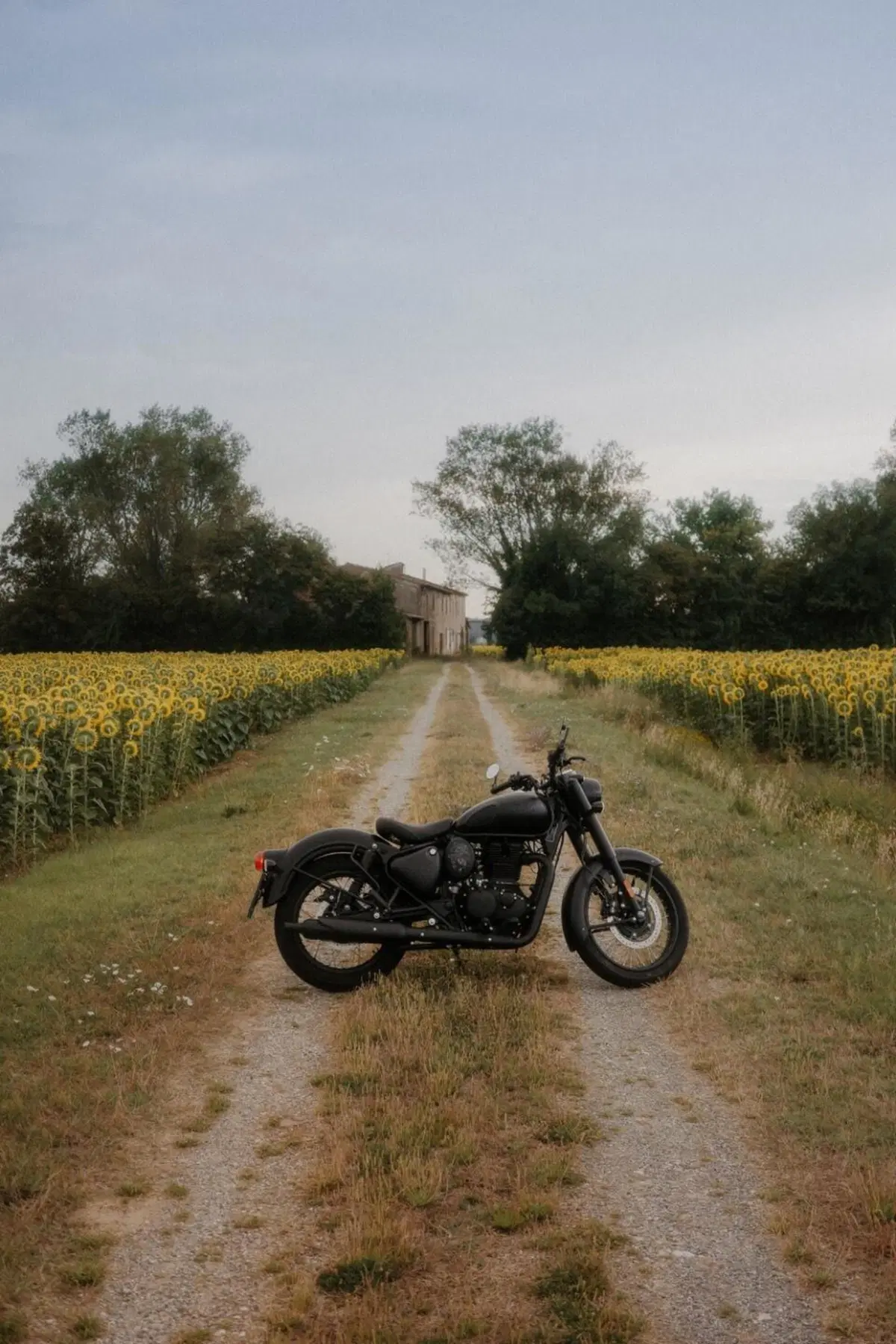 Royal Enfield Classic 350 (2021 - 26) (3)
