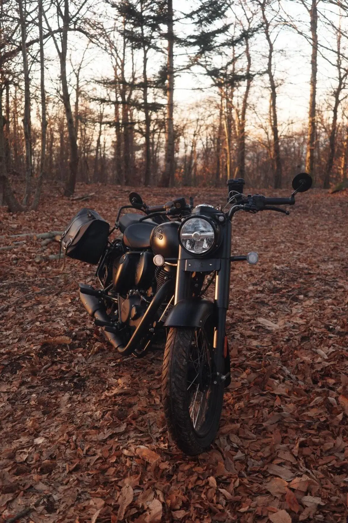 Royal Enfield Classic 350 (2021 - 26) (8)