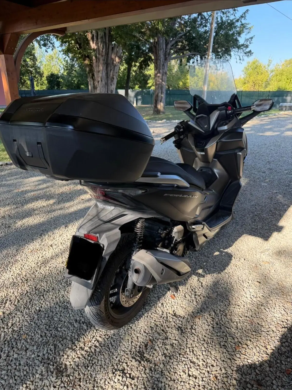 Honda Forza 350 Deluxe (2022 - 24) (2)