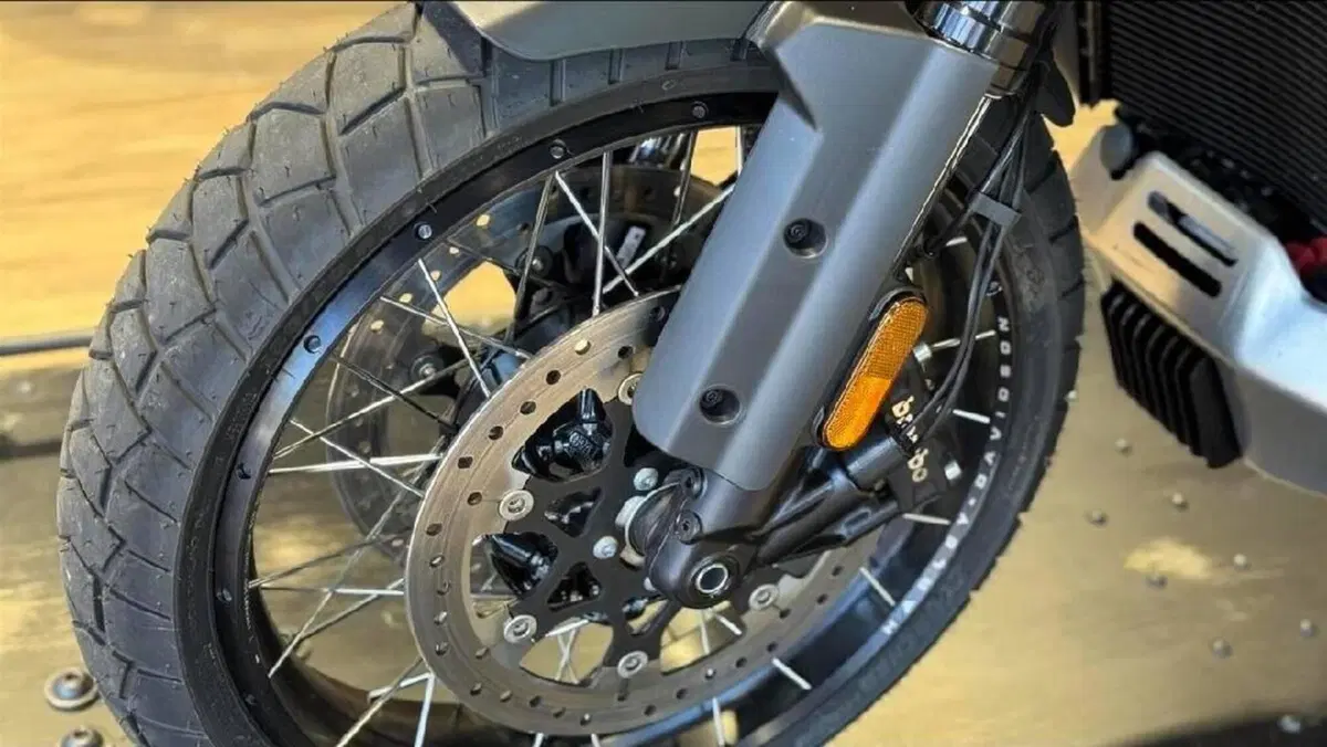 Harley-Davidson Pan America 1250 Special (2020 - 25) (3)