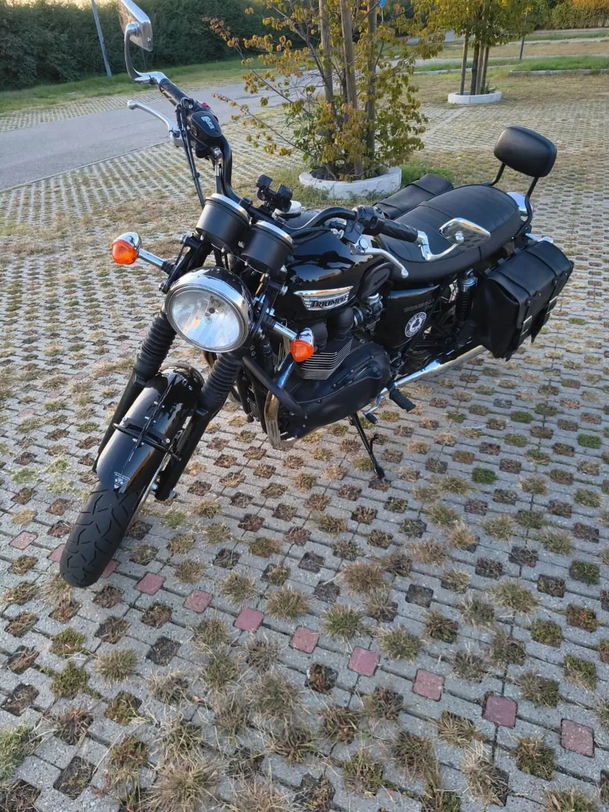 Triumph Bonneville T100 (2008 - 16) (2)