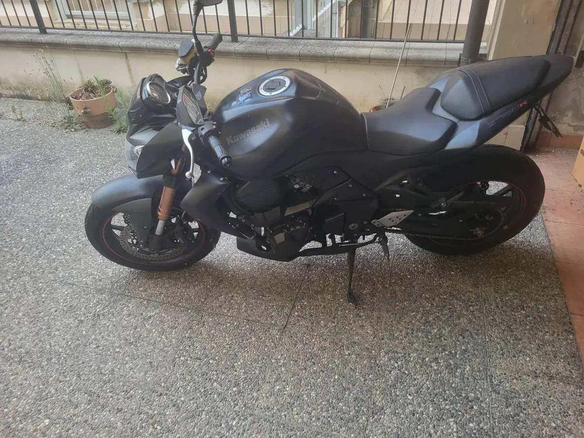 Kawasaki Z 750 R (2011 - 14) (6)