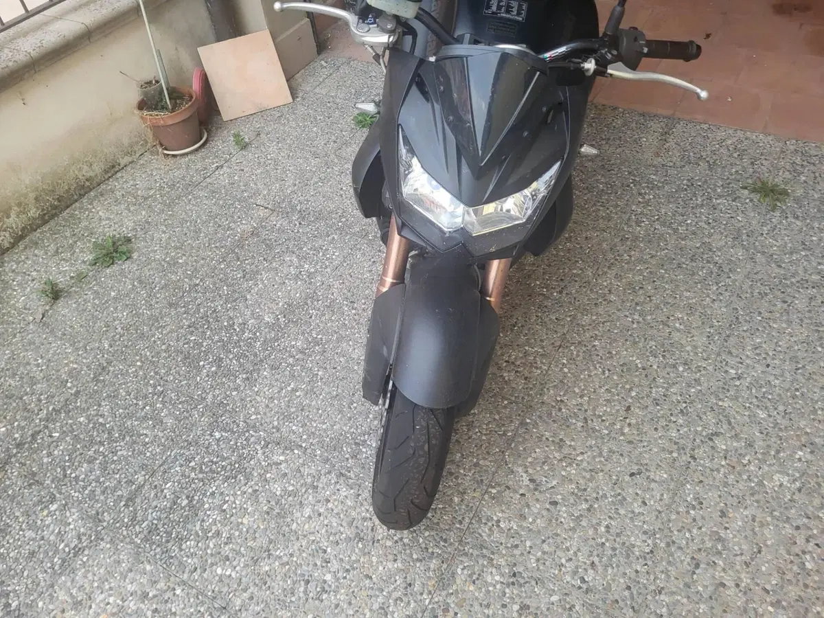 Kawasaki Z 750 R (2011 - 14) (10)
