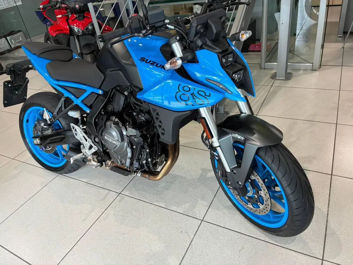 Suzuki GSX-8S (2023 - 24) (2)
