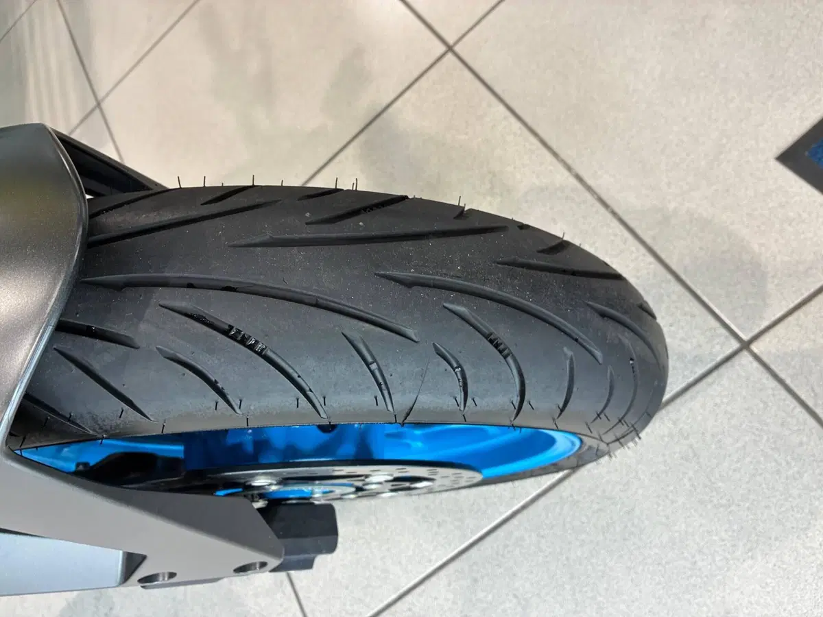 Suzuki GSX-8S (2023 - 24) (3)