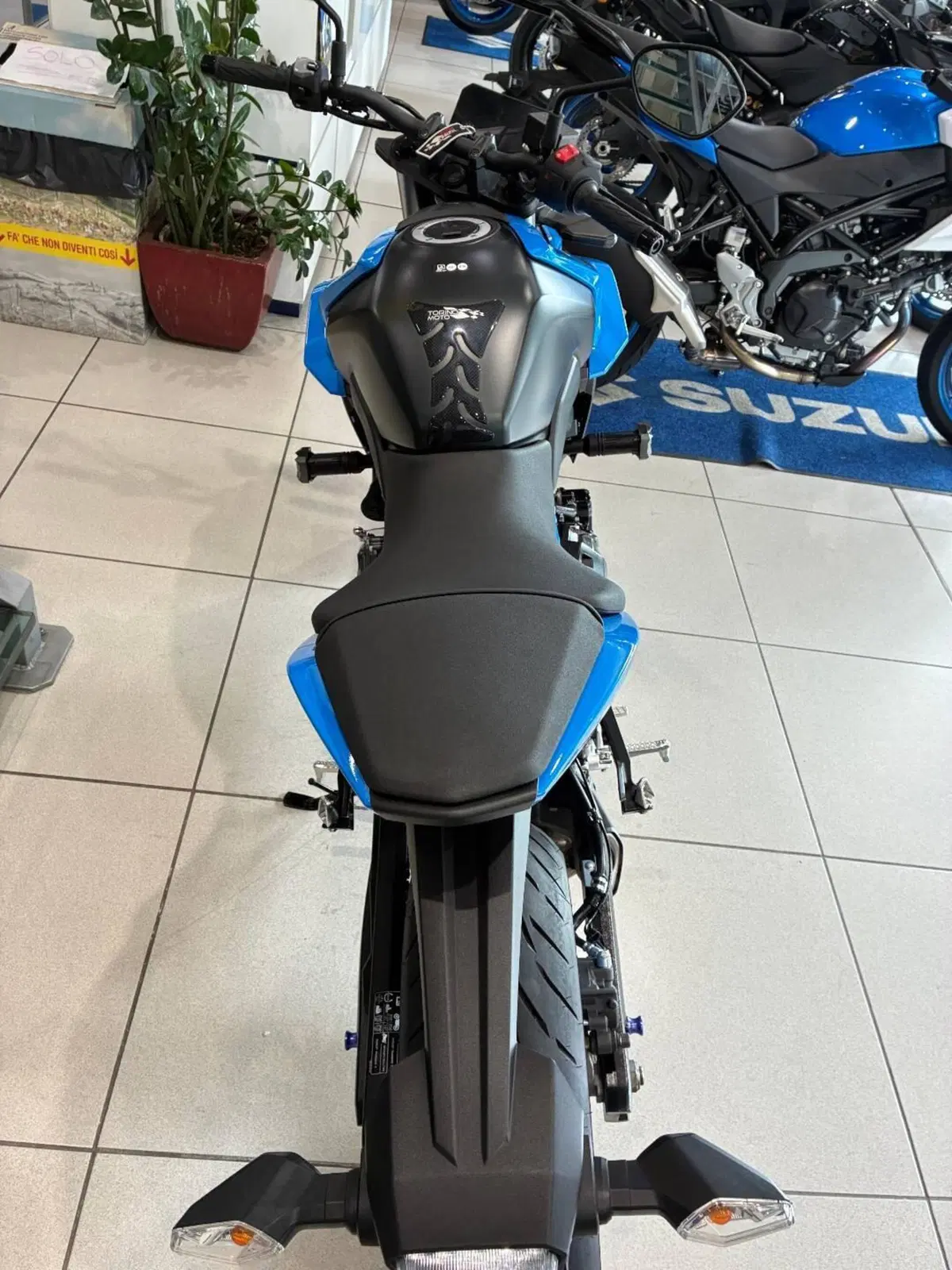 Suzuki GSX-8S (2023 - 24) (6)