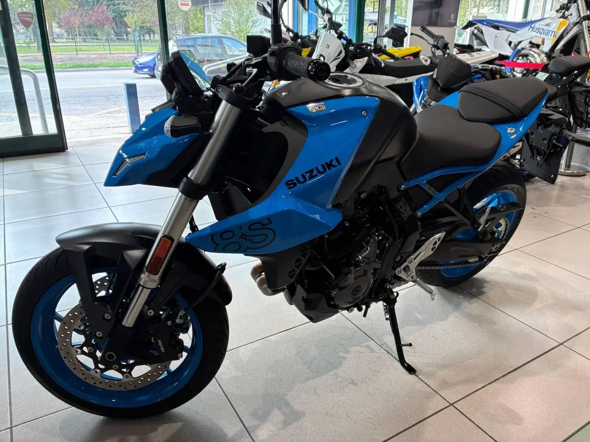 Suzuki GSX-8S (2023 - 24) (9)