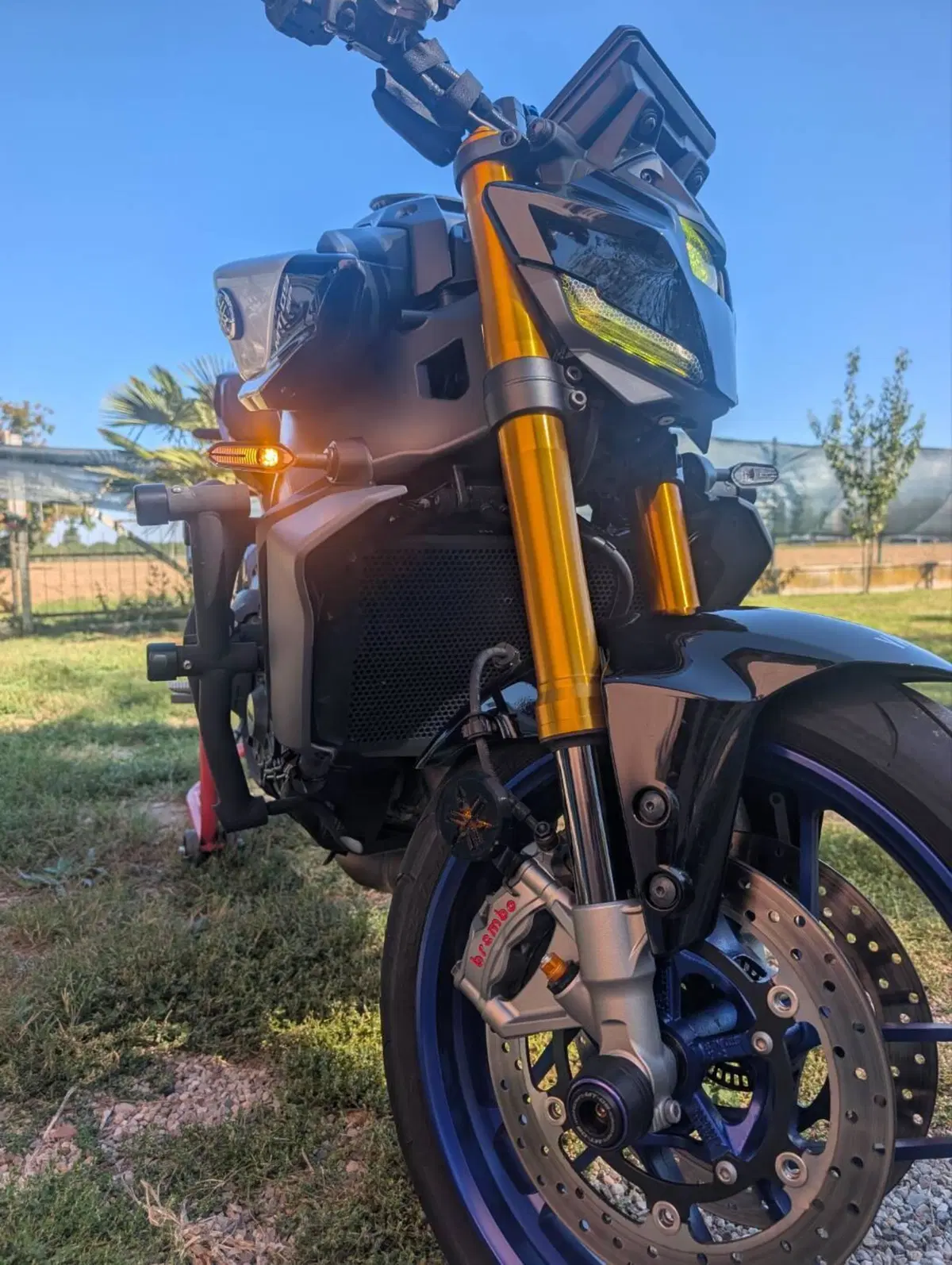 Yamaha MT-09 SP (2024 - 26) (2)