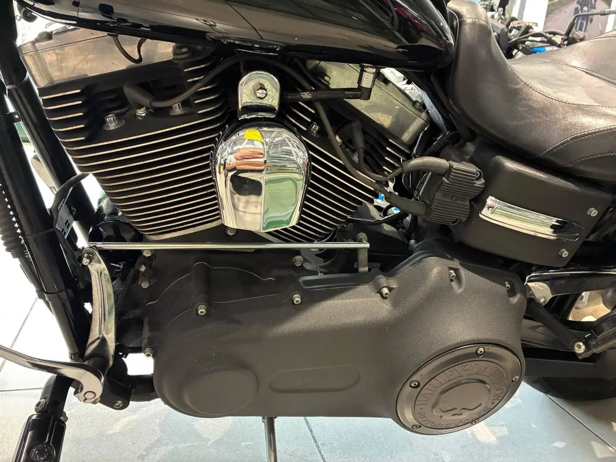 Harley-Davidson 1584 Fat Bob (2007 - 13) - FXDF (12)