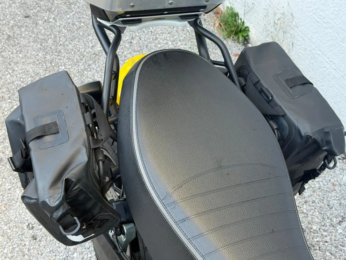Ducati Scrambler 800 Icon (2017 - 20) (7)