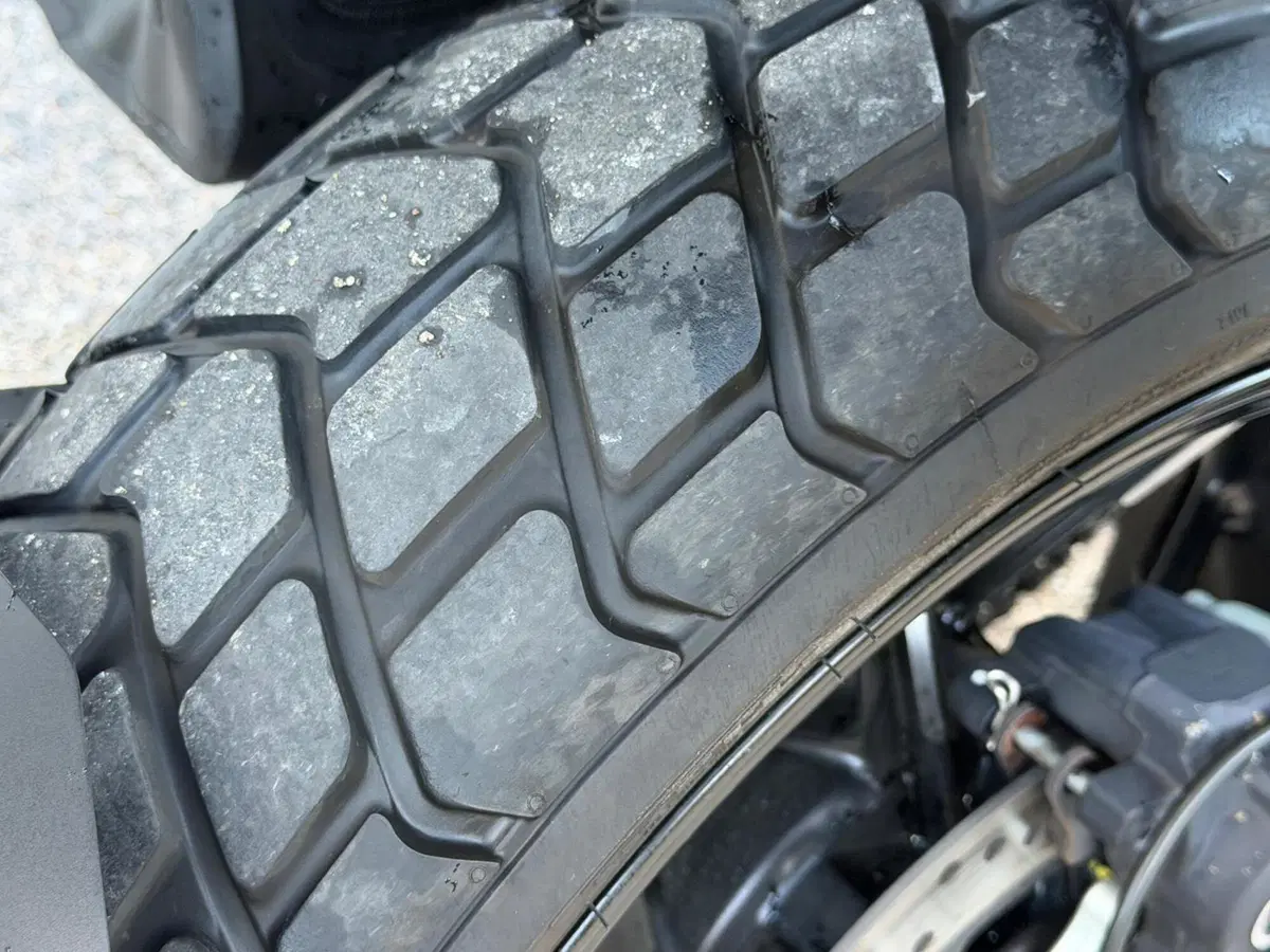 Ducati Scrambler 800 Icon (2017 - 20) (9)
