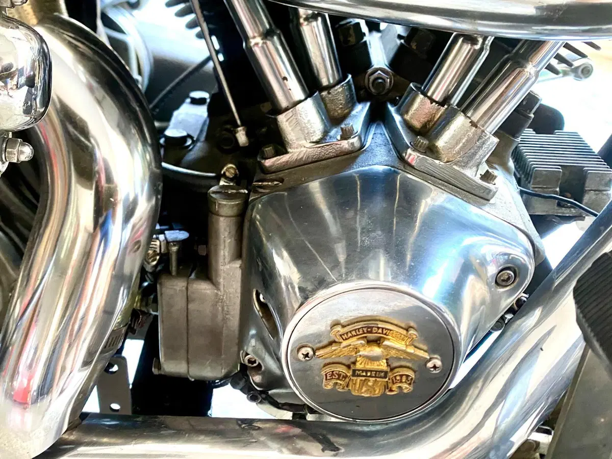 Harley-Davidson Flh electra glide  (8)