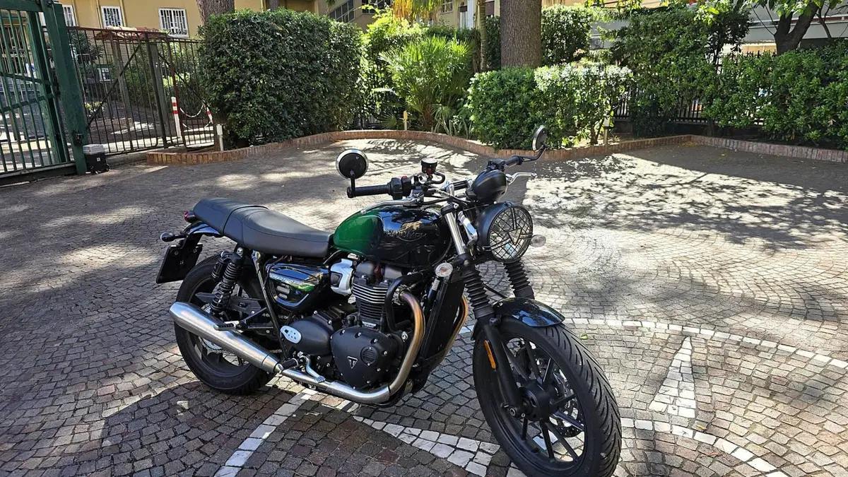 Triumph Speed Twin 900 Stealth Edition (2024) (2)
