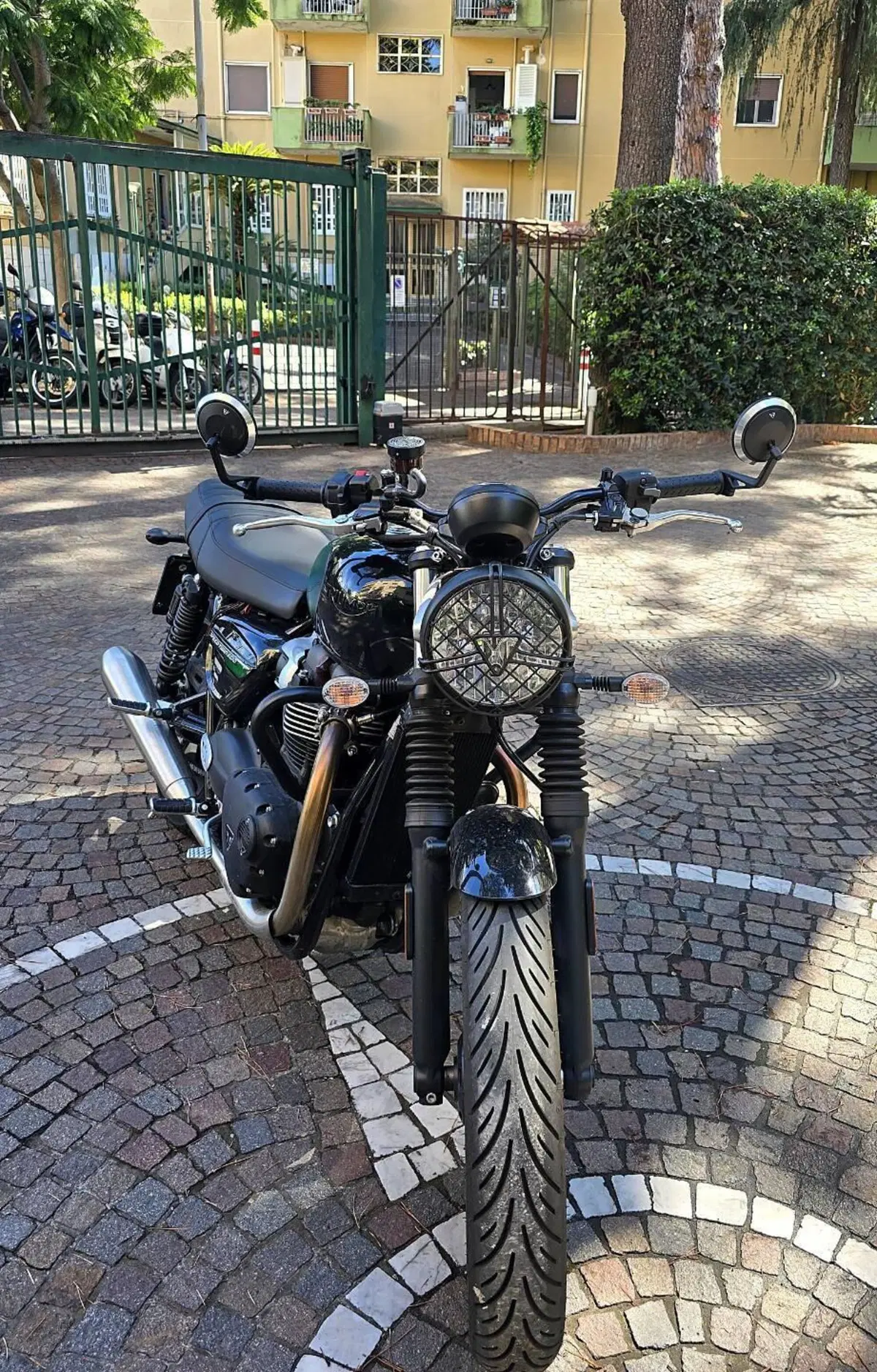 Triumph Speed Twin 900 Stealth Edition (2024) (3)