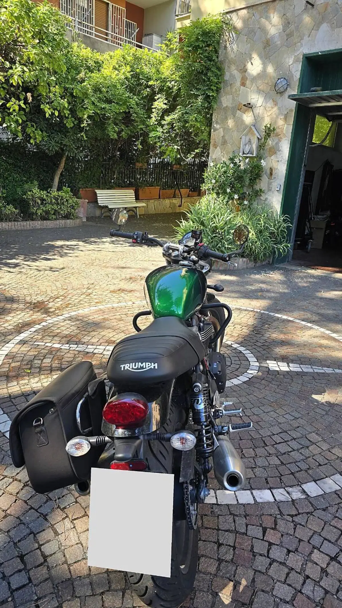 Triumph Speed Twin 900 Stealth Edition (2024) (5)