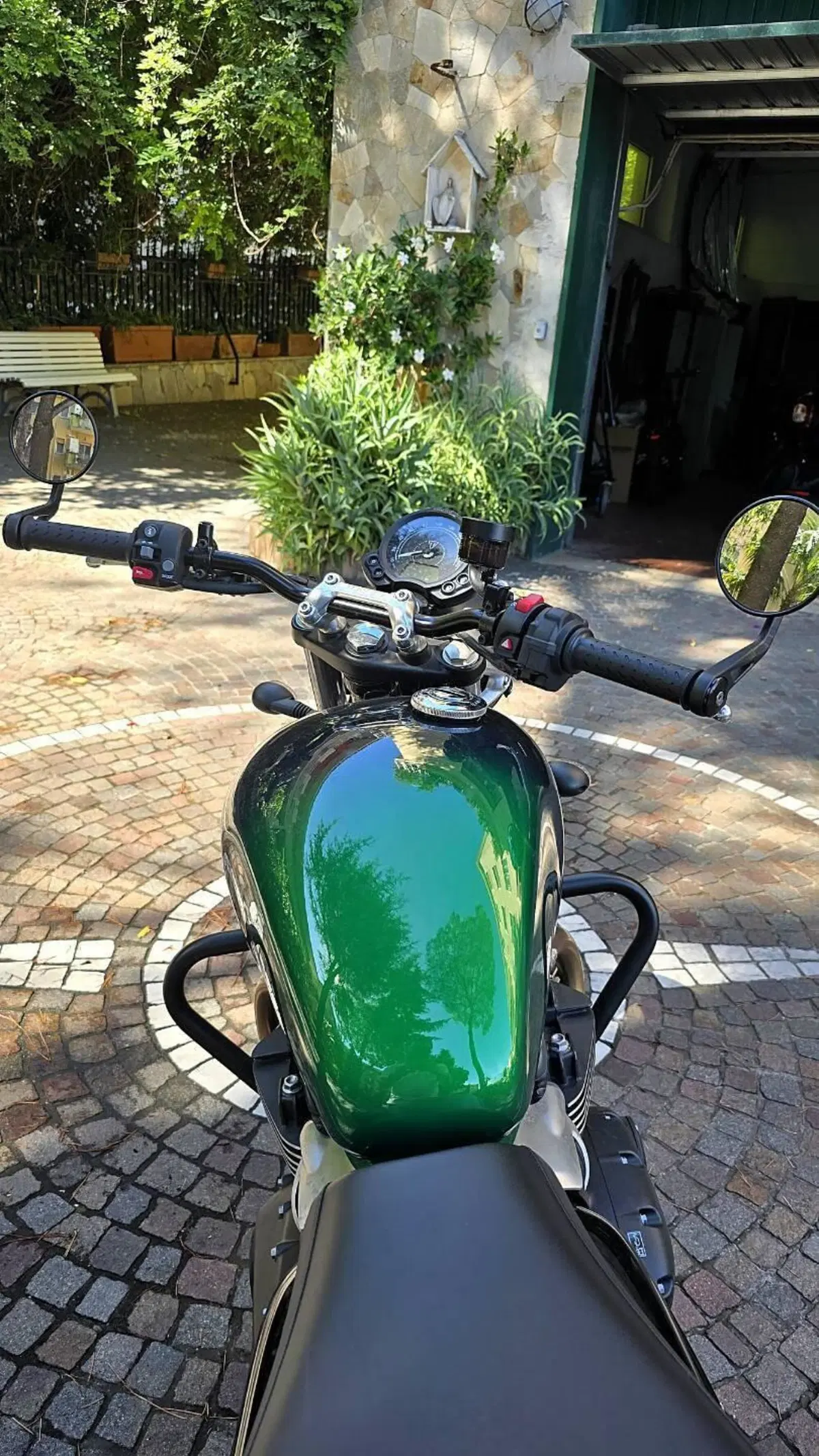 Triumph Speed Twin 900 Stealth Edition (2024) (6)