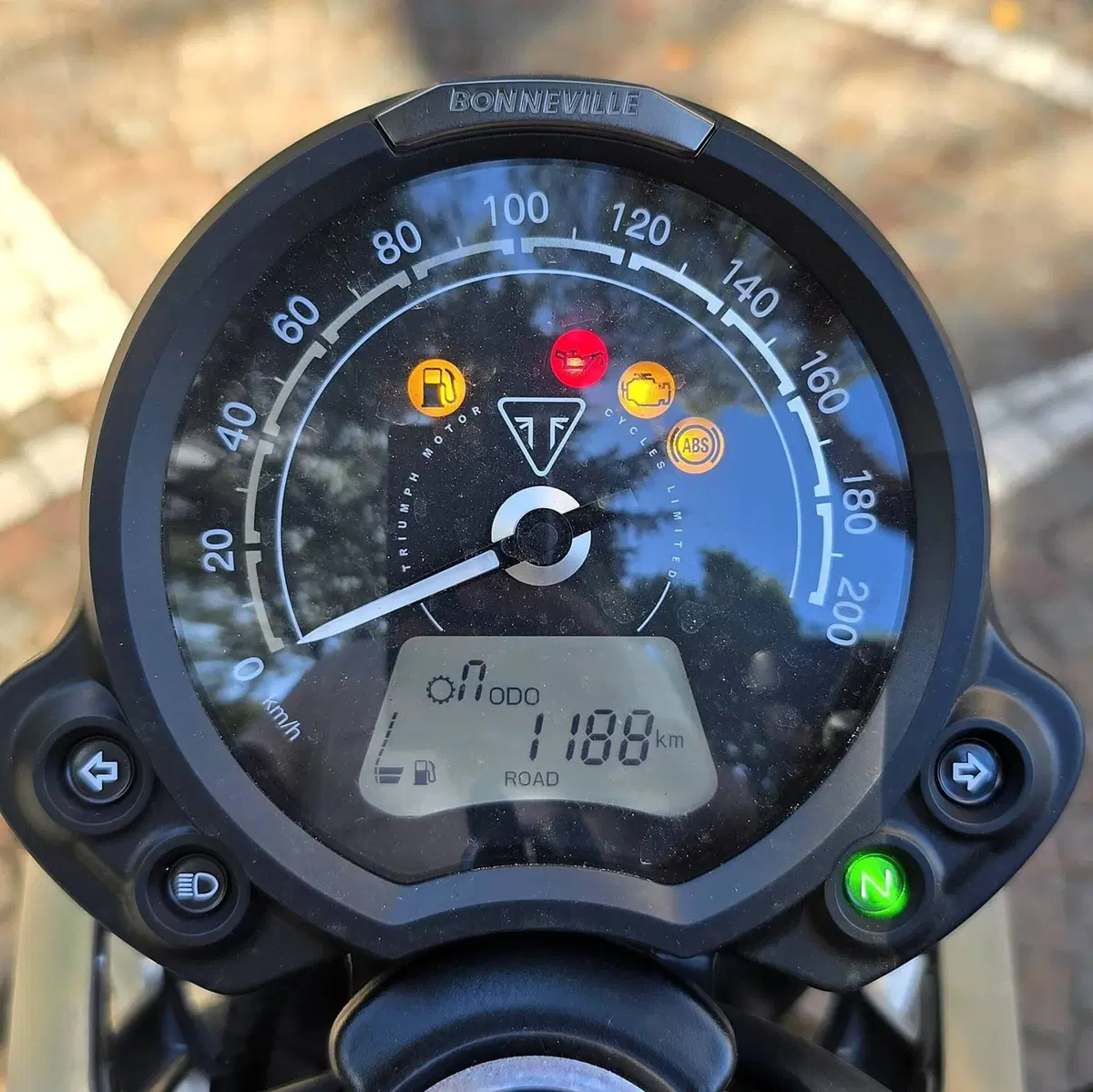 Triumph Speed Twin 900 Stealth Edition (2024) (7)