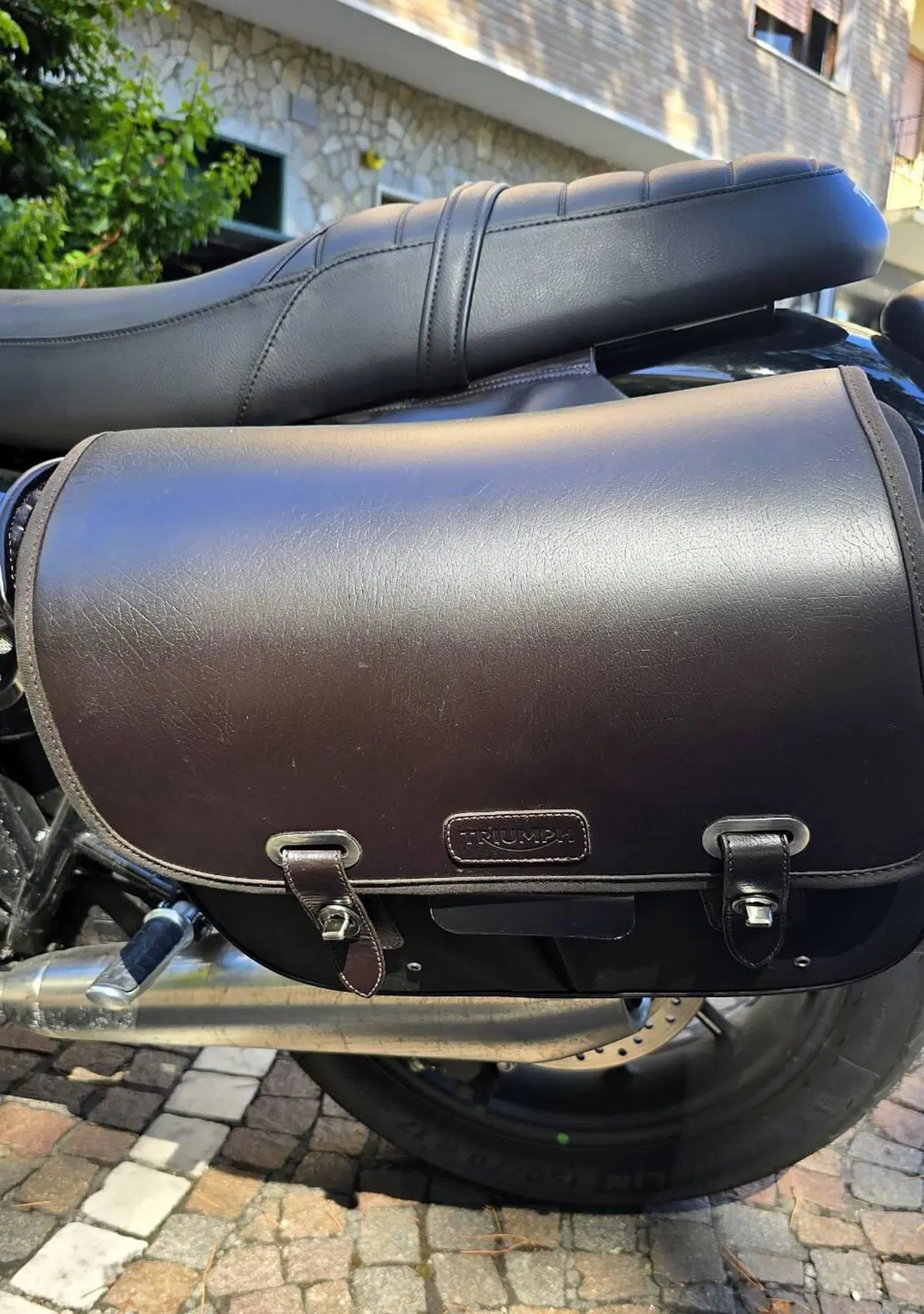 Triumph Speed Twin 900 Stealth Edition (2024) (8)