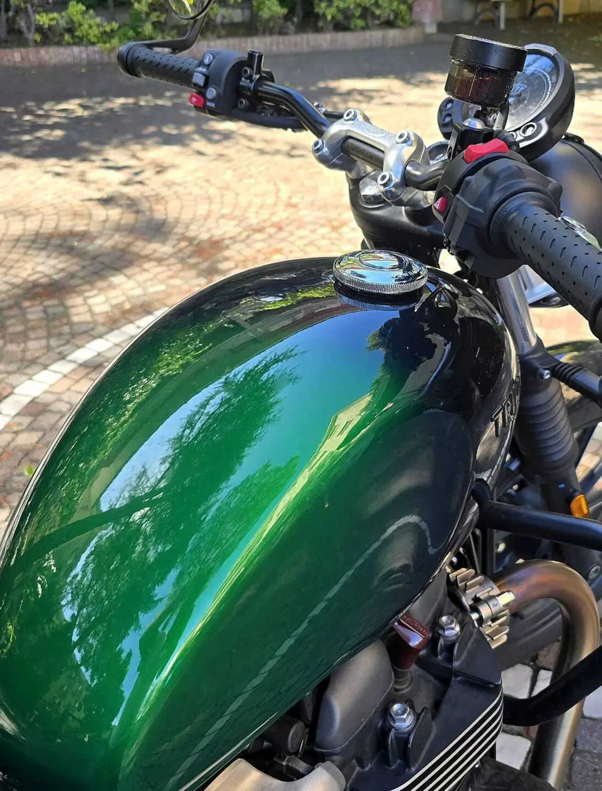 Triumph Speed Twin 900 Stealth Edition (2024) (9)