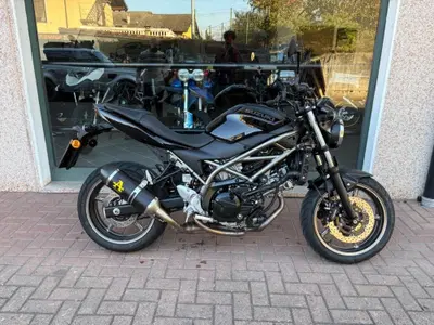 Suzuki SV650 (2021 - 24) usata
