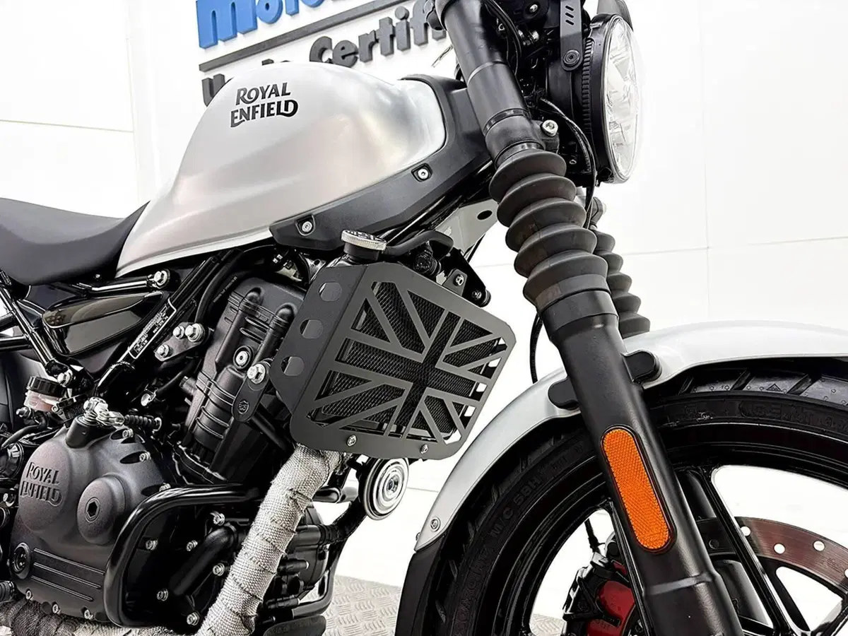 Royal Enfield Guerrilla 450 (2024 - 26) (10)